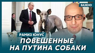 Юнус о том пойдут ли ВСУ после Курска на Крым