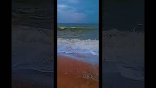 සුන්දර වෙරළ තීරය | මීගමු වෙරළ |Negambo beach | Come to srilanka | SL AgriZone #trending #travel