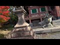 京都　智積院の紅葉　2018年　chishaku in temple in autumn leaves kyoto