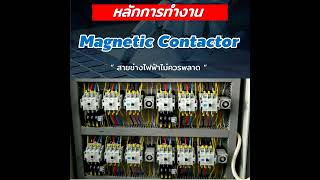 หลักการทำงาน Magnetic