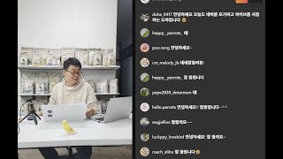 앵무새의 동성애 : 무조건 암수만 짝을 이루지 않는다