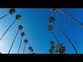 beverly hills palm trees california drone shot 4k adventure