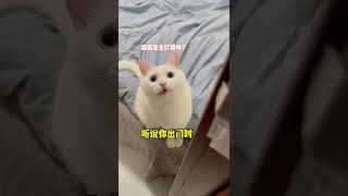 当我出门十天没有捕到猎物…