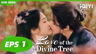 Su Yishui menerima Xue Ranran😍🔥| Love of the Divine Tree 【INDO SUB】EP1 | iQIYI Indonesia