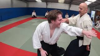 AIKIDO DUBLIN IRELAND 2022 - music Lorn \