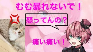 ご機嫌斜めなむむちゃん【てるとくん】