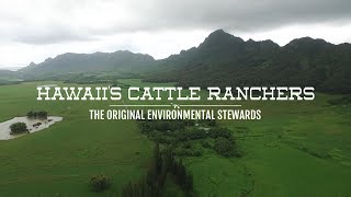 Hawaii's Cattle Ranchers | The Original Environmental Stewards