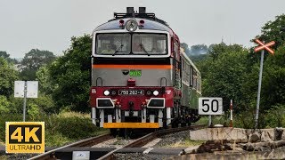 KDS 750 202-4 na R 11863 Kladno - Skalsko 15.6.2019 (4K)