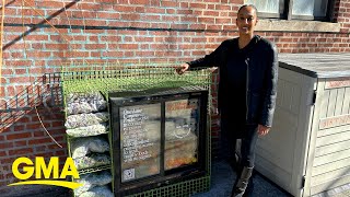 This non-profit provides healthy food to community fridges for communities in need