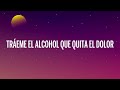 Enrique Iglesias - SUBEME LA RADIO (LetraLyrics) ft. Descemer Bueno, Zion & Lennox
