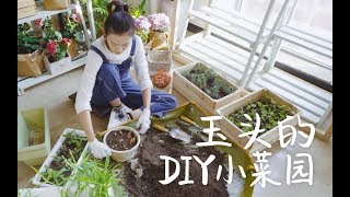 DIY一个自己的小菜园