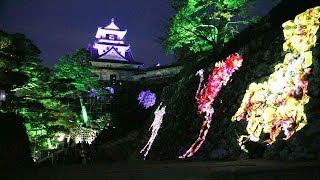 高知城がデジタルアート空間に=「チームラボ 高知城光の祭」