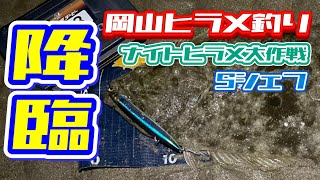 【ヒラメ釣り】【岡山釣り】Sシェフの座布団ヒラメを求めて!!岡山開拓vol.22岡山ラスト釣行前編!!ナイトヒラメ大作戦!!