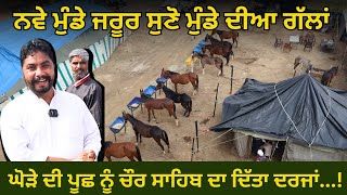 ਟੋਪ ਦੀ ਮਾਰਵਾੜੀ ਭਰਾ ਦਿੱਤੀ ਨੁਕਰੇ ਤੋ ਬਾਈ ਤੇਰਾ ਦਿਮਾਗ ਚ ਤਾਂ ਨਹੀਂ ਫਰਕ.. #horse #horselover #horseriding