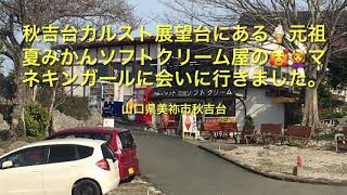 山口県美祢市　秋吉台カルスト展望台にある元祖夏みかんソフトクリーム屋のマネキンガールに会いに行きました。（グルメ巡り）