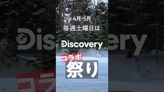 ランクル80と北海道は似合いすぎる！#Discoverychannel　#Shorts