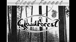 Cloud Forest - 逃亡の果てに