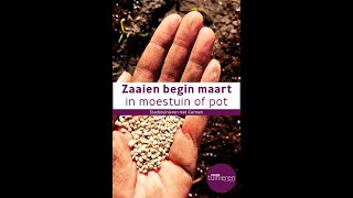 Stadstuinieren - Zaaien in maart in moestuin of pot #moestuin