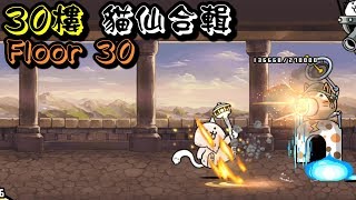 貓咪大戰爭攻略 風雲にゃんこ塔30階 各種攻略 Heavenly Tower Floor 30 Strategy