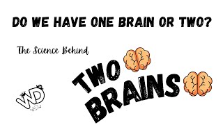 Do We Have One Brain Or Two? | The Science Behind The Two Brains