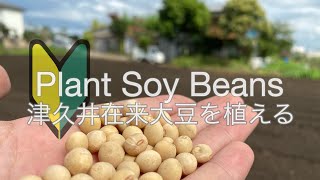 「早送り」農業初心者が幻の大豆を無農薬で200坪の土地に撒く！Plant Soy Beans Tanam Kedelai Tsukui tanpa pestisida