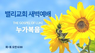 3월 21일 화요새벽 \