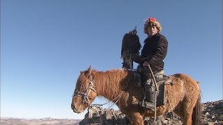 '검독수리'를 이용해 사냥하는 몽골의 카자흐족 (Mongolian Kazakh Huntings with the 'Golden eagle')