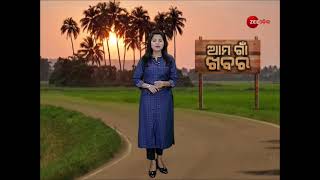 Ama Gaon Khabar | ଆମ ଗାଁ ଖବର | Village News | ନଜର ପକାନ୍ତୁ ଗାଁ ଖବର  ଉପରେ  | Zee Odisha | Special News