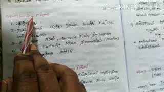 Unit 8|| தமிழ் சமுதாய வரலாறு||  தென்னிந்திய பண்பாடு