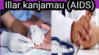 Illa Ko Abubuwa Da Cutar AIDS (Kanjamau) Ke Haddasawa