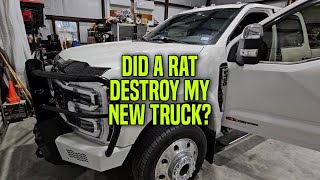 DID A RAT DESTROY MY $105K F450 PLATINUM???