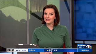 KARK AG Griffin Successfully Defends Secretary of State in Abortion Advocates’ Lawsuit 08 22 2024