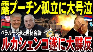 【ゆっくり解説】露クレムリンに大激震…！ベラルーシが大裏切りで米と極秘会談…ルカシェンコの謀反にプーチン号泣。