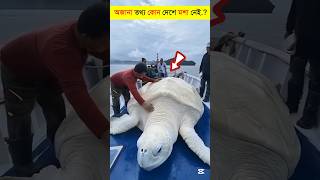 এই ফ্যাক্টস গুলো আপনি কখনই জানেন না 😱😱 #viral #shorts #ytshorts