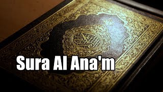 Sura Al Ana'm | Holy Quran Sura No: 06(Sura Al Ana'm) Quran Tilawat with Bangla Translation