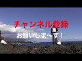 201702【伊豆の地磯】河津町『ヤンザ』編　後編　広く低く浅い地磯