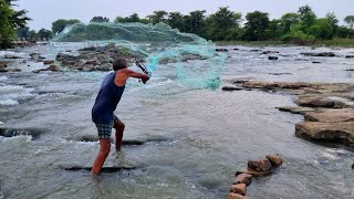 Enjoying fishing in the local river | best casting net fishing video | daily netfishing video [4k]