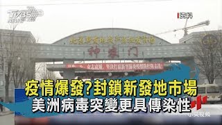 【TVBS新聞精華】202000615 十點不一樣 疫情爆發?封鎖新發地市場  美洲病毒突變更具傳染性