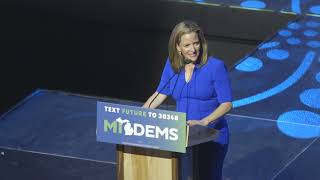 Benson declares victory in Michigan Secretary of State race