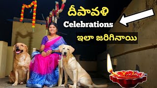 Diwali Celebrations ఇలా కూడా చేసుకుంటారా | Gani చాలా భయపడింది | @upendragani