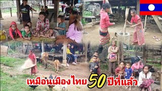 ชนบทในลาว เหมือนเมืองไทยเมื่อ50ปีที่แล้ว วิถีชีวิตชนเผ่าบรูบ้านสะดึง เมืองเซโปน สะหวันนะเขต