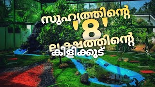 ഞങ്ങളുടെ കിളിക്കൂട് കണ്ട് സുഹൃത്ത് ഉണ്ടാക്കിയ മനോഹരമായ 8 ലക്ഷത്തിന്റെ കൂട്!!👌💐Aviary