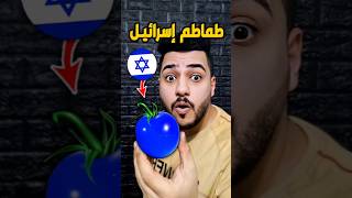 الطماطم الإسرائيلية ضد الطماطم الفلسطينية 🔥 منو الأفضل ؟ 😱