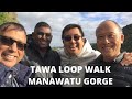 Tawa Loop Walk (Manawatu Gorge)-  Easter 2021 Special