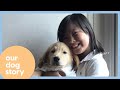 Our Dog Story | A Blessing Channel by ABC