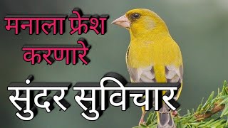 मन फ्रेश करणारे सुंदर सुविचार | Most Motivational Thought | प्रेरणादायी मराठी सुविचार, भाग २