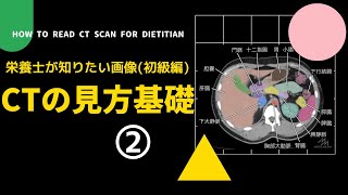 #43②【栄養士が知りたい画像(初級編)_CTの見方基礎】How to Read CT scan for Dietitian