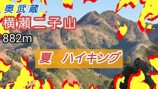 【奥武蔵】横瀬二子山ハイキング