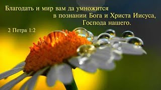 Храни вас Бог! 🙏❤🕊 | христианское пожелание