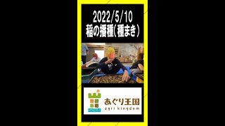 【2022田んぼ 栽培～収穫のすべて②】稲 播種 種まき あぐり王国 浜松 安心安全 無農薬 農業 フルオーガニック アミタ 株式会社 #Shorts